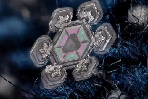 Snowflake Collection
