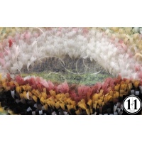 luna_moth_paint1