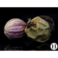 peppercorn_1