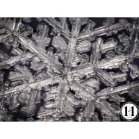 snow_1_02252022-2