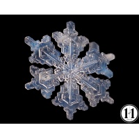snow_2-2
