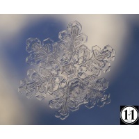 snow_2-denoise_823388641