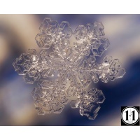 snow_3-denoise