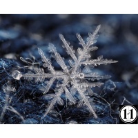 snow_jeans_3