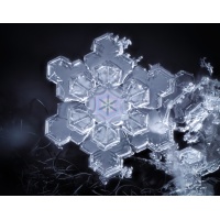 snowflake1