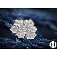 snowflake_4