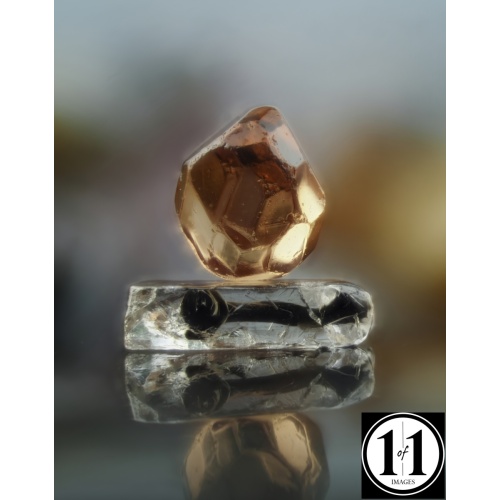 g2_01132026-2-sharpenai-focus