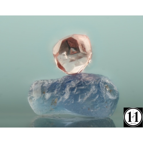 g3_08252025-2-sharpenai-focus