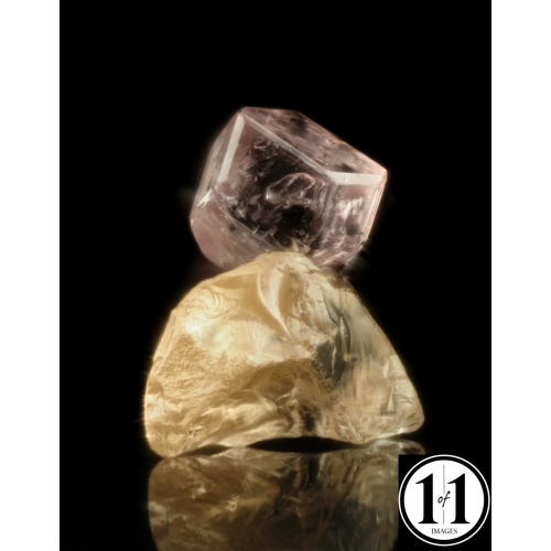 g3_08292025_mitu-2-sharpenai-focus