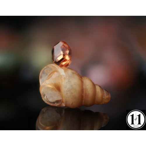 g4_shell_01292025-3-sharpenai-focus