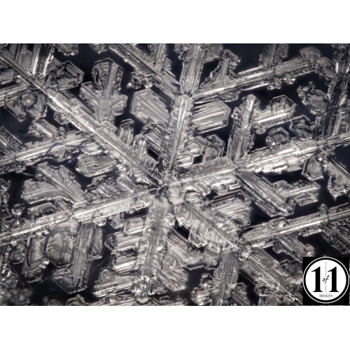 snow_1_02252022-2