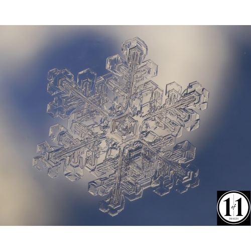 snow_2-denoise_823388641
