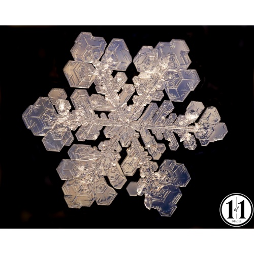 snow_blue-3-gigapixel
