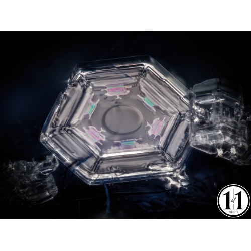 snowflake_top_03102022-focus_64561874